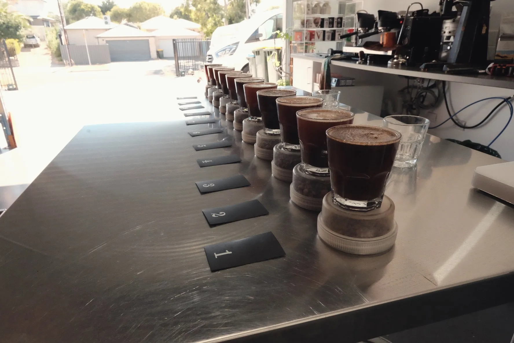 Green coffee samples weighed out on a lab bench