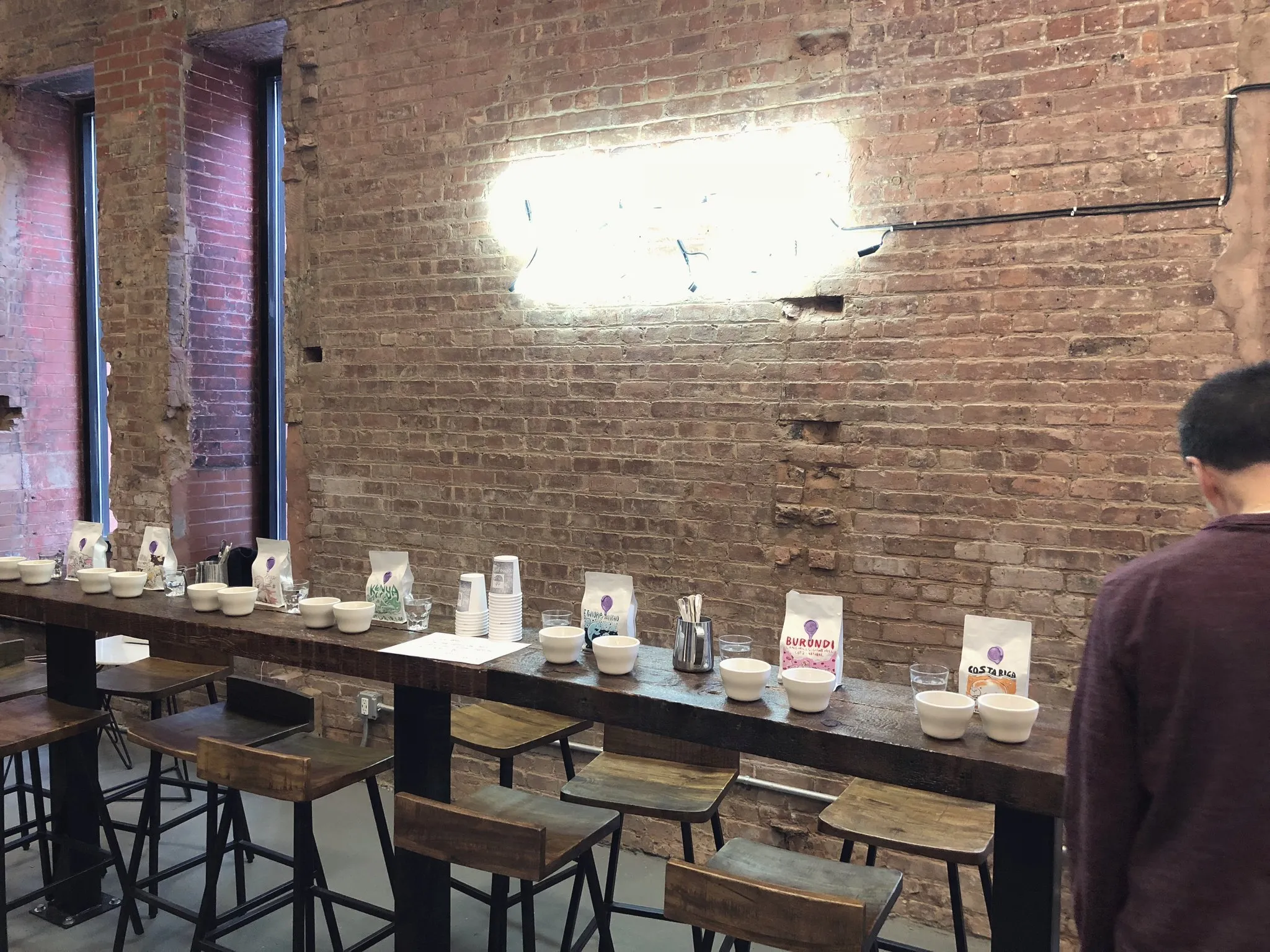 Rows of identical white cups on a coffee cupping table