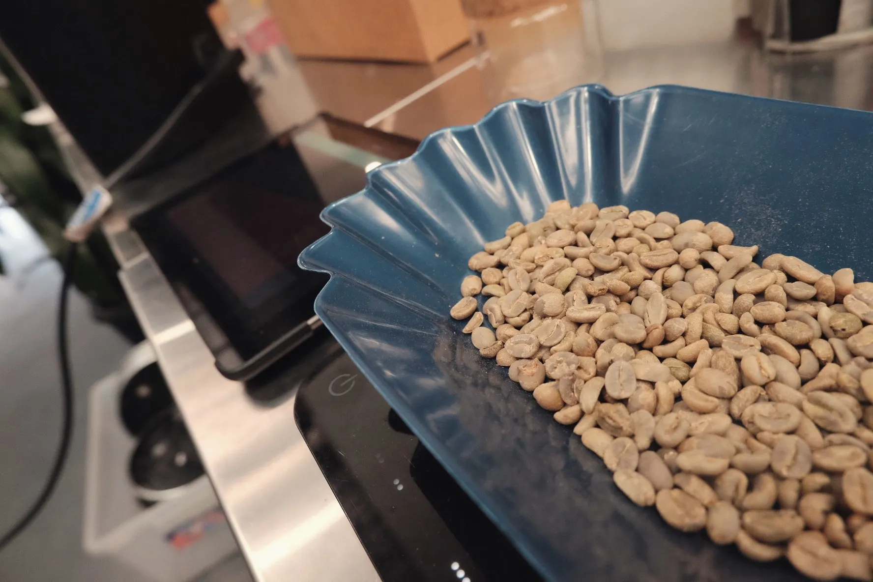 A tray of green coffee beans waiting to be roasted